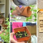 Seed to Sprout at Oceanic Library