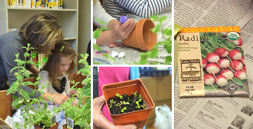 Seed to Sprout at Oceanic Library