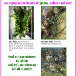 IndoorOutdoor Gardening Shots During Covid