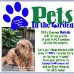 Pets in Garden RGC