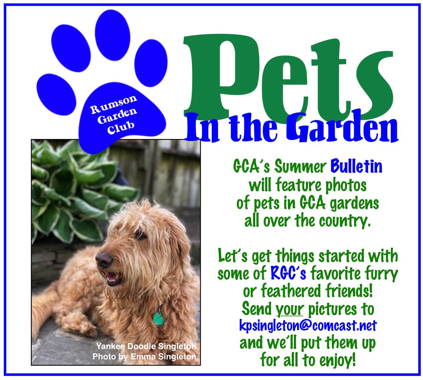 Pets in Garden RGC