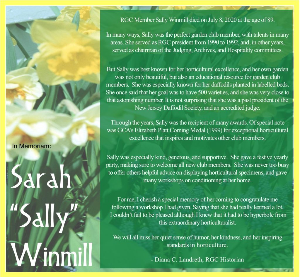 Sally Winmill