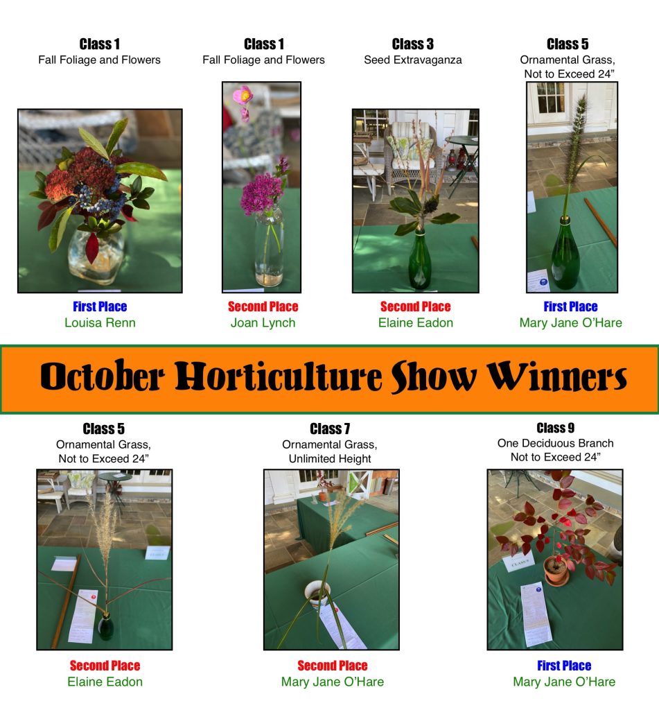 October 2020 Hort Winners for Website