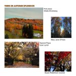 November 2020 Photography NEW Results