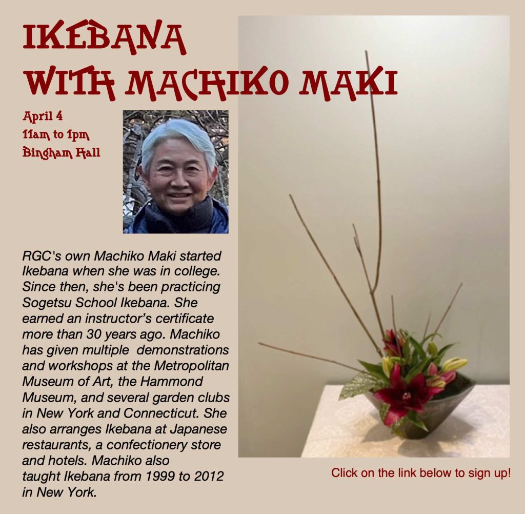 Machiko Ikebana