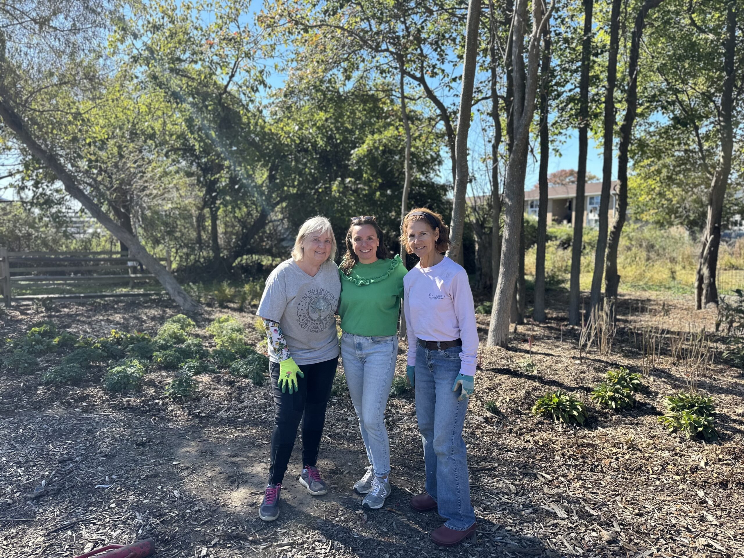 Jackson Woods Planting