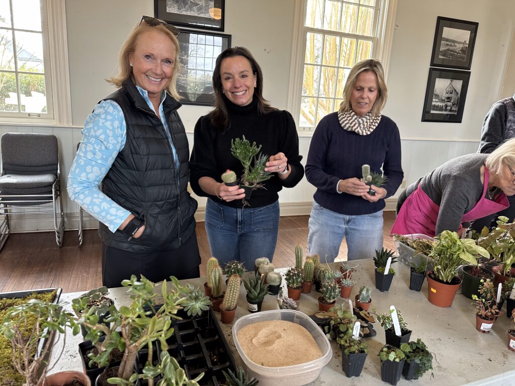 Container Garden Workshop