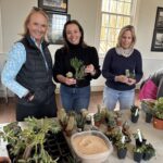 Container Garden Workshop