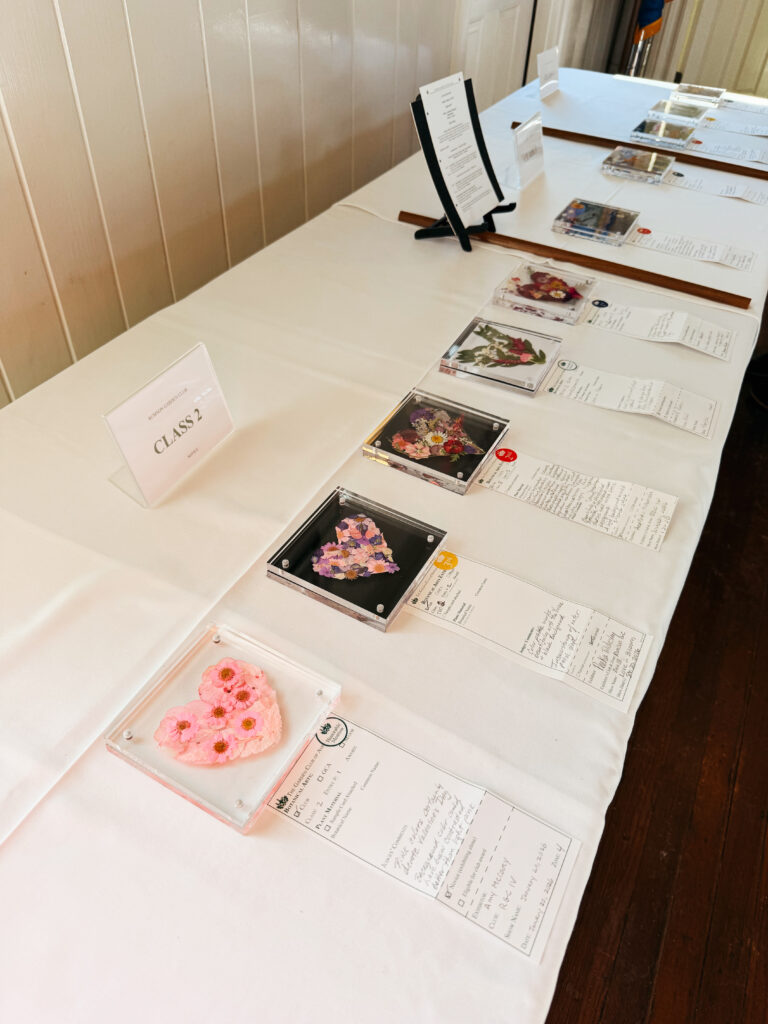 January Meeting 2026